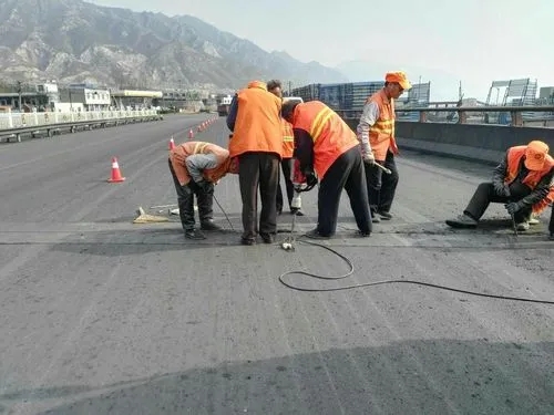 龙泉驿道路桥梁病害治理